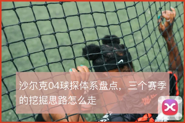 沙尔克04球探体系盘点,三个赛季的挖掘思路怎么走