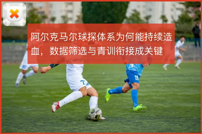 阿尔克马尔球探体系为何能持续造血，数据筛选与青训衔接成关键
